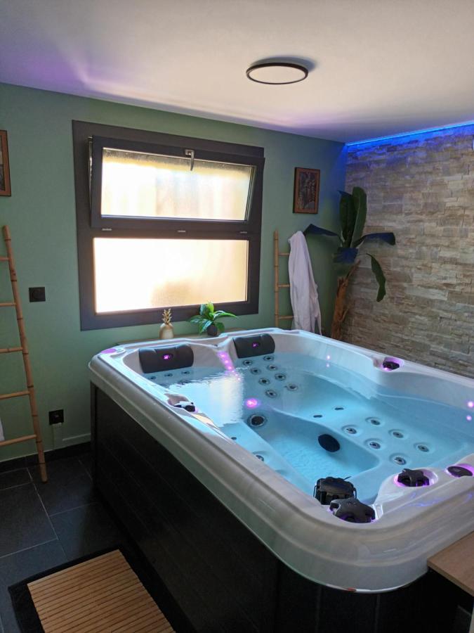 Superbe Appartement Avec Jacuzzi Et Exterieur Перпинян Екстериор снимка